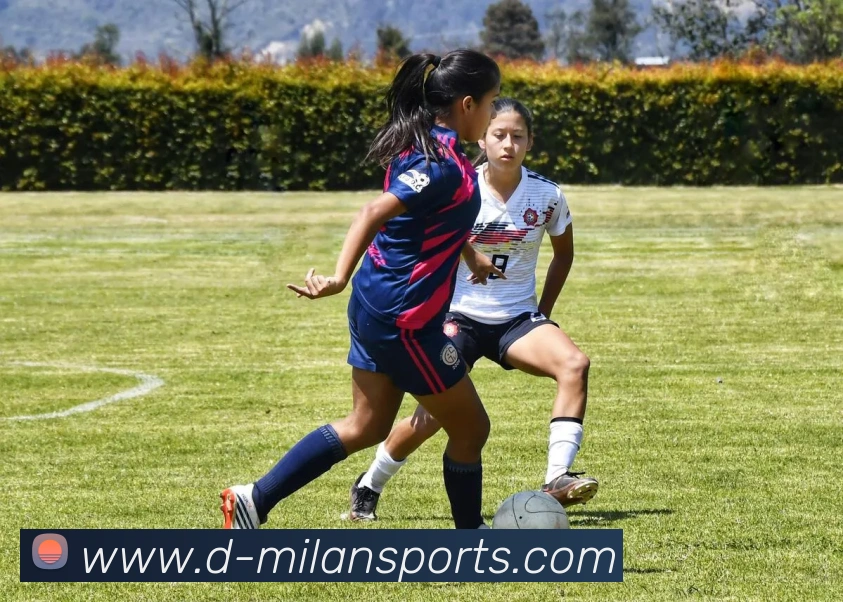 米兰体育服务体系